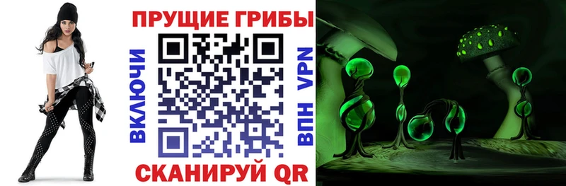 KRAKEN зеркало Алдан Псилоцибиновые грибы GOLDEN TEACHER